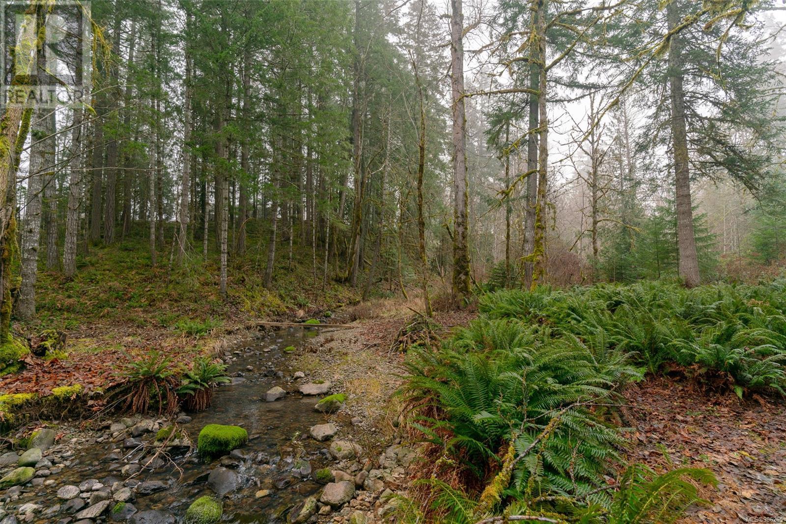 7100 Beaver Creek Rd, Port Alberni real estate listing 986265