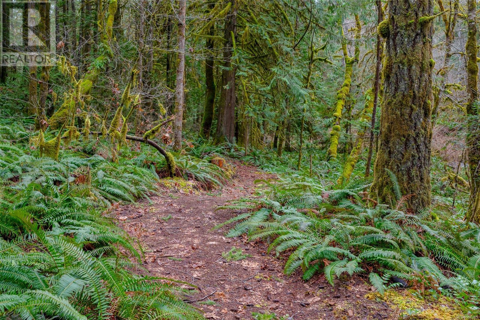 7100 Beaver Creek Rd, Port Alberni real estate listing 986265