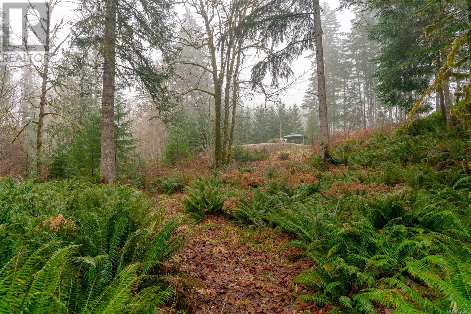 7100 Beaver Creek Rd, Port Alberni real estate listing 986265