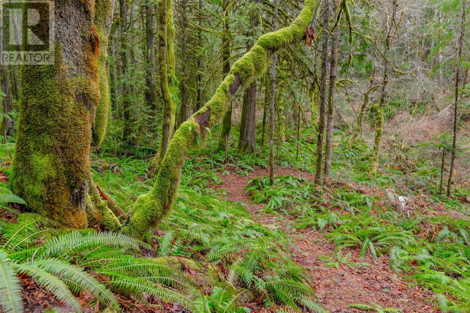 7100 Beaver Creek Rd, Port Alberni real estate listing 986265