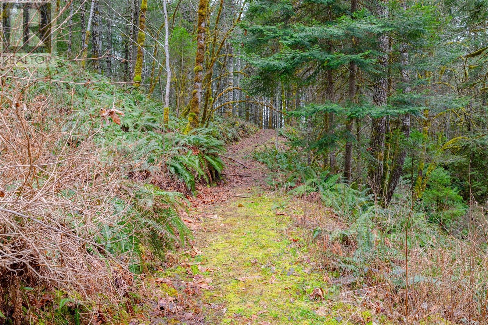 7100 Beaver Creek Rd, Port Alberni real estate listing 986265