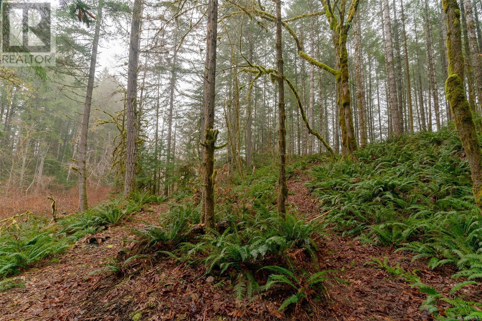 7100 Beaver Creek Rd, Port Alberni real estate listing 986265