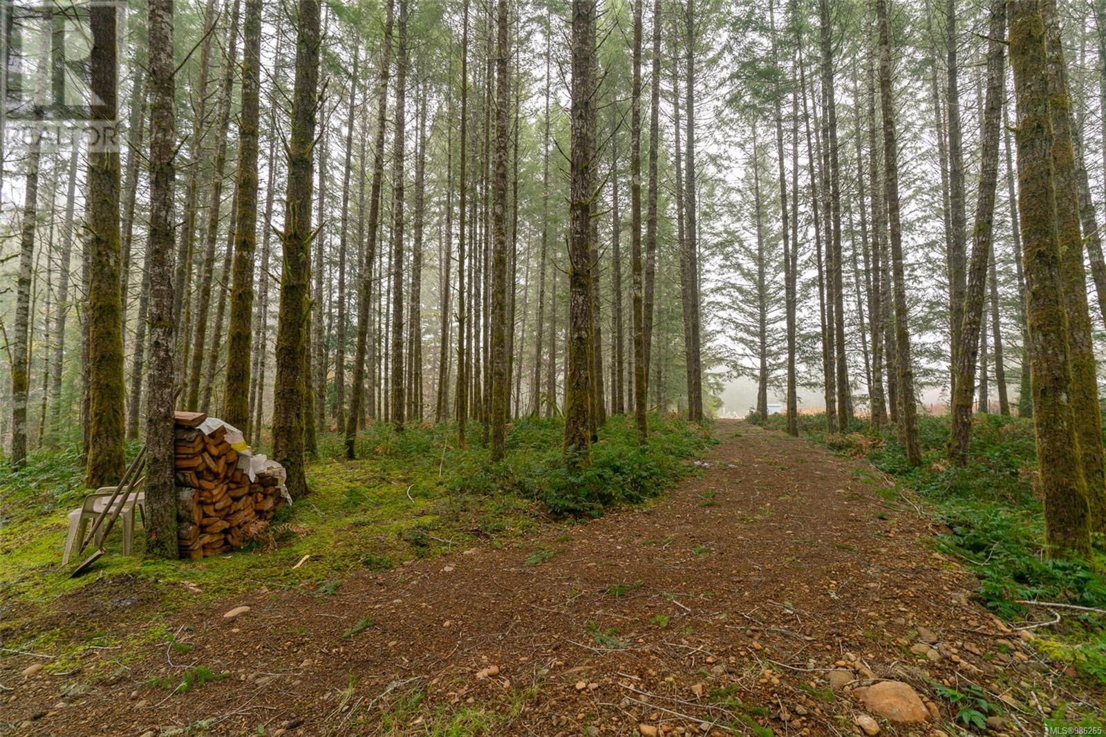 7100 Beaver Creek Rd, Port Alberni real estate listing 986265