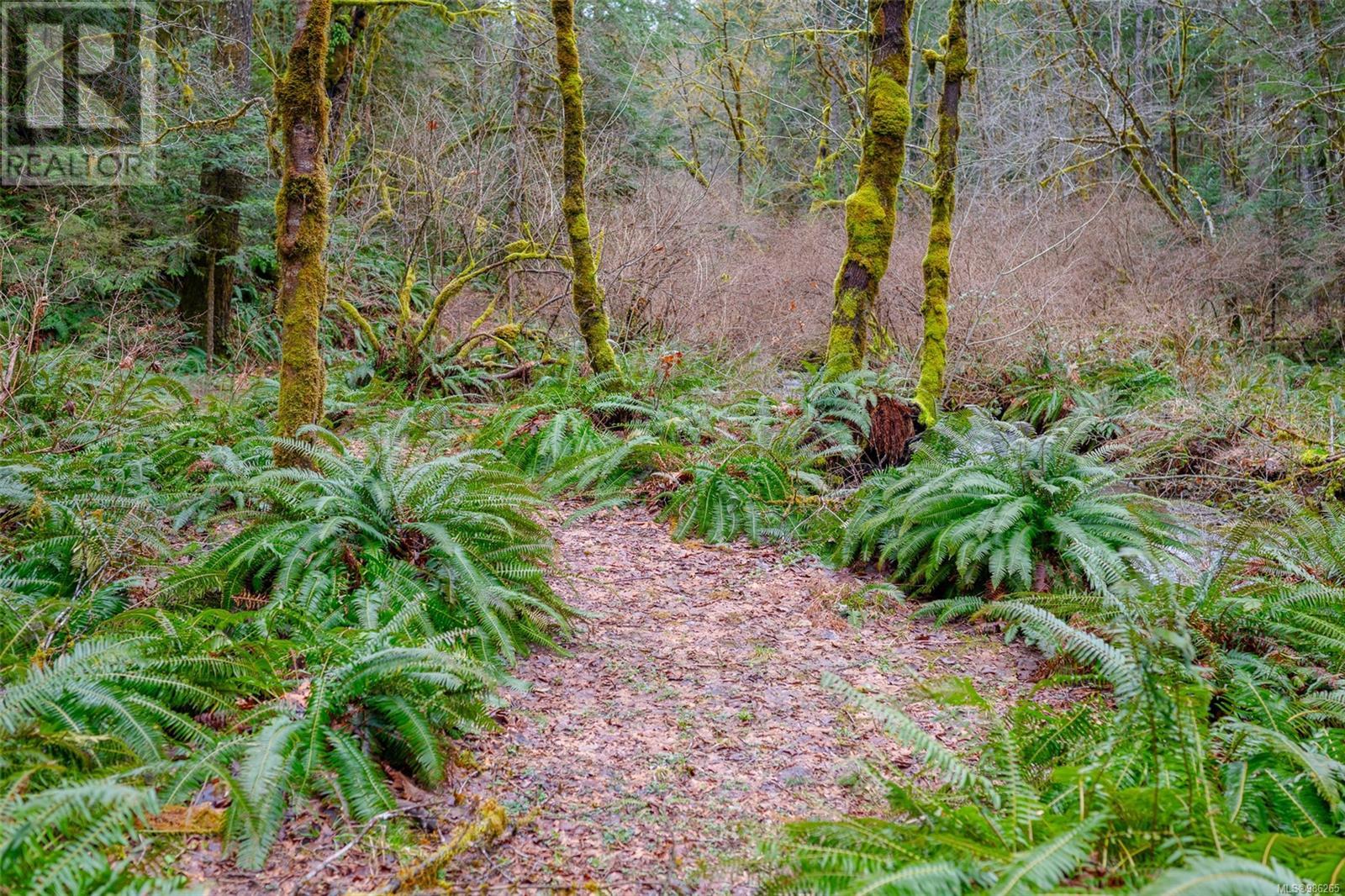 7100 Beaver Creek Rd, Port Alberni real estate listing 986265