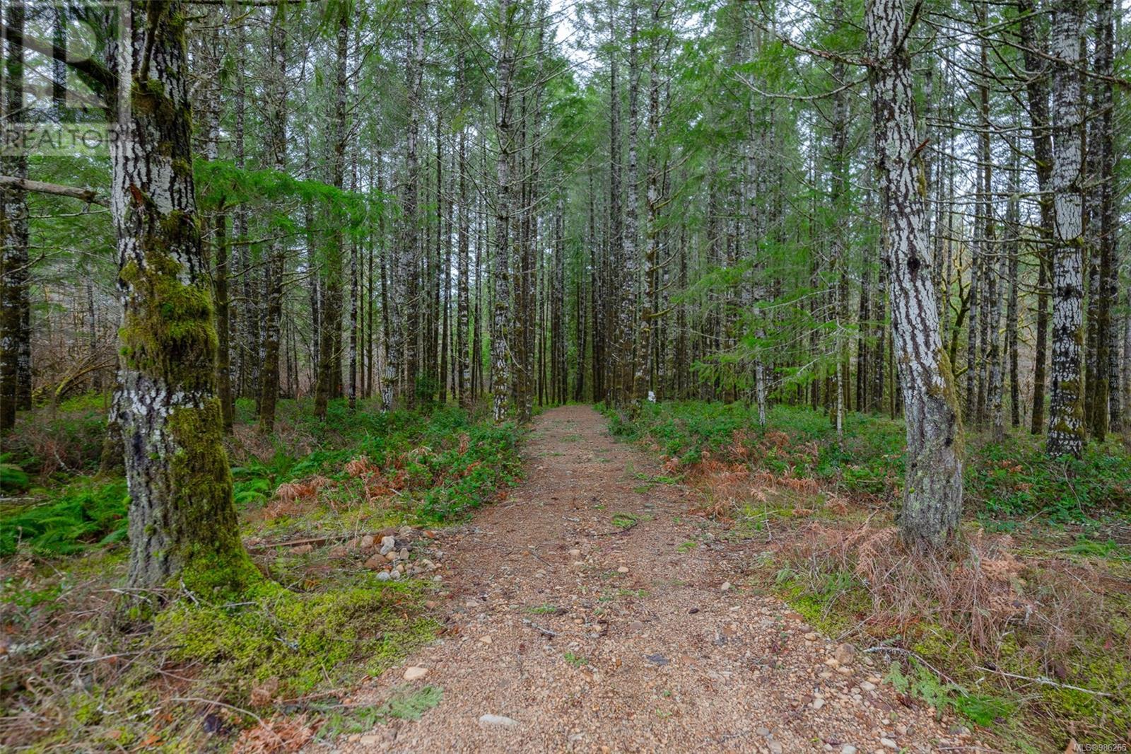 7100 Beaver Creek Rd, Port Alberni real estate listing 986265