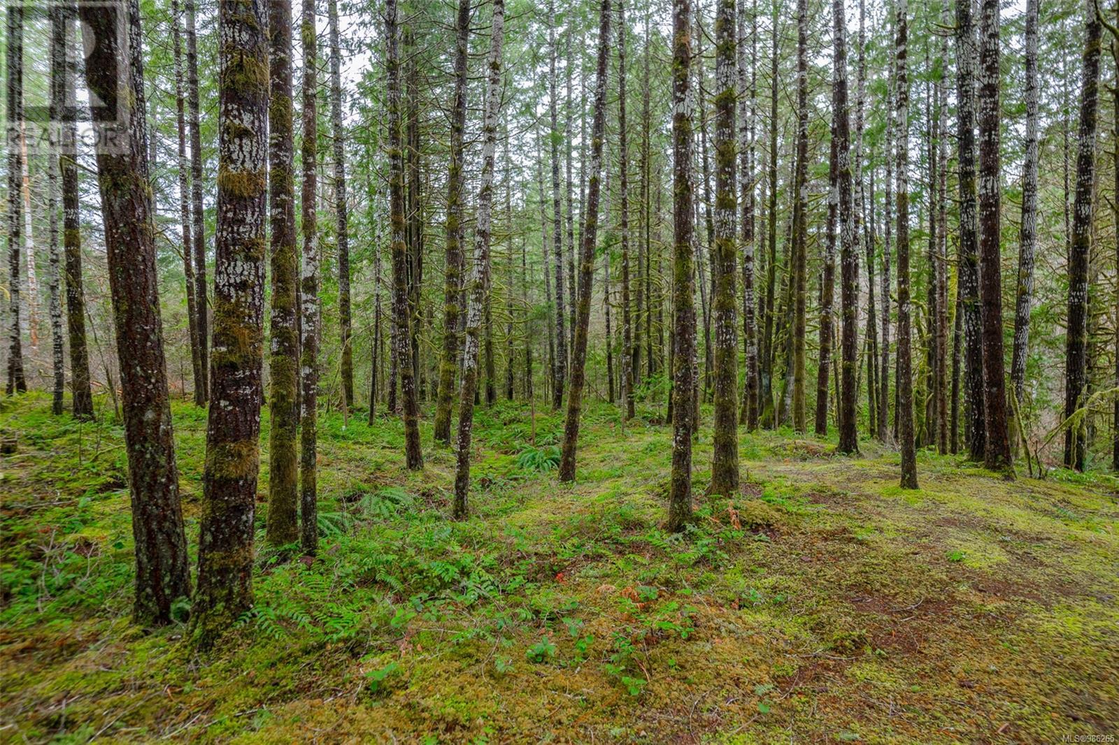 7100 Beaver Creek Rd, Port Alberni real estate listing 986265