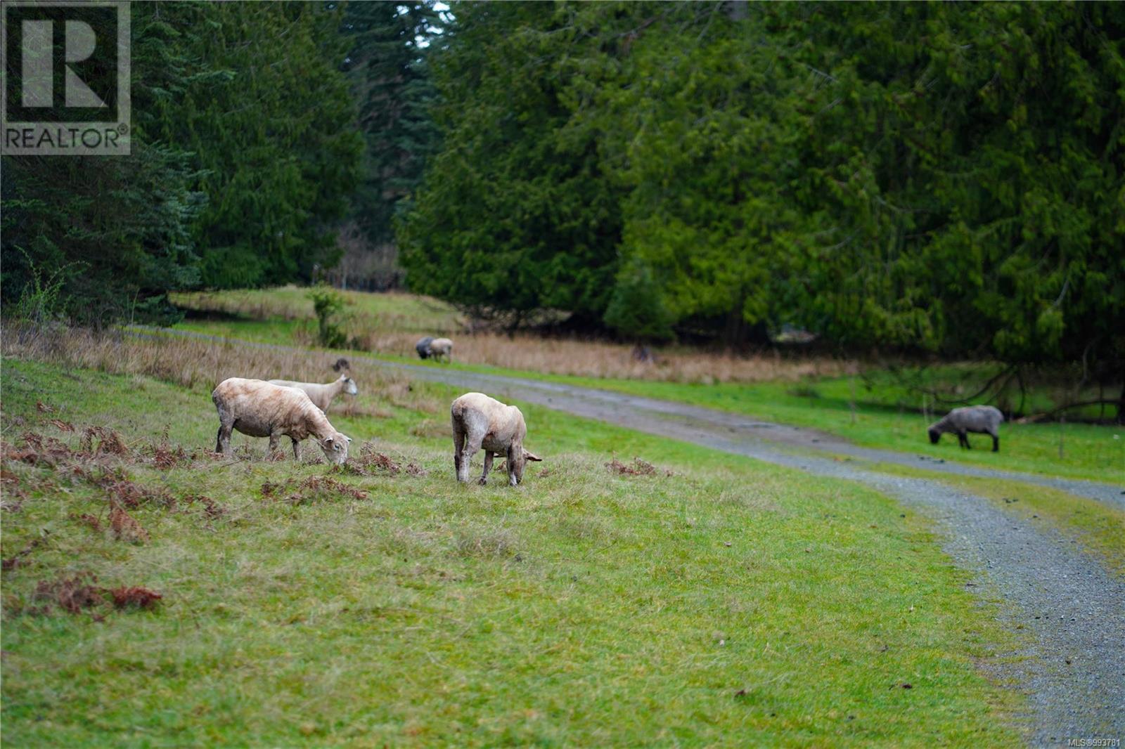  212 Hamilton-Horne Way, Salt Spring