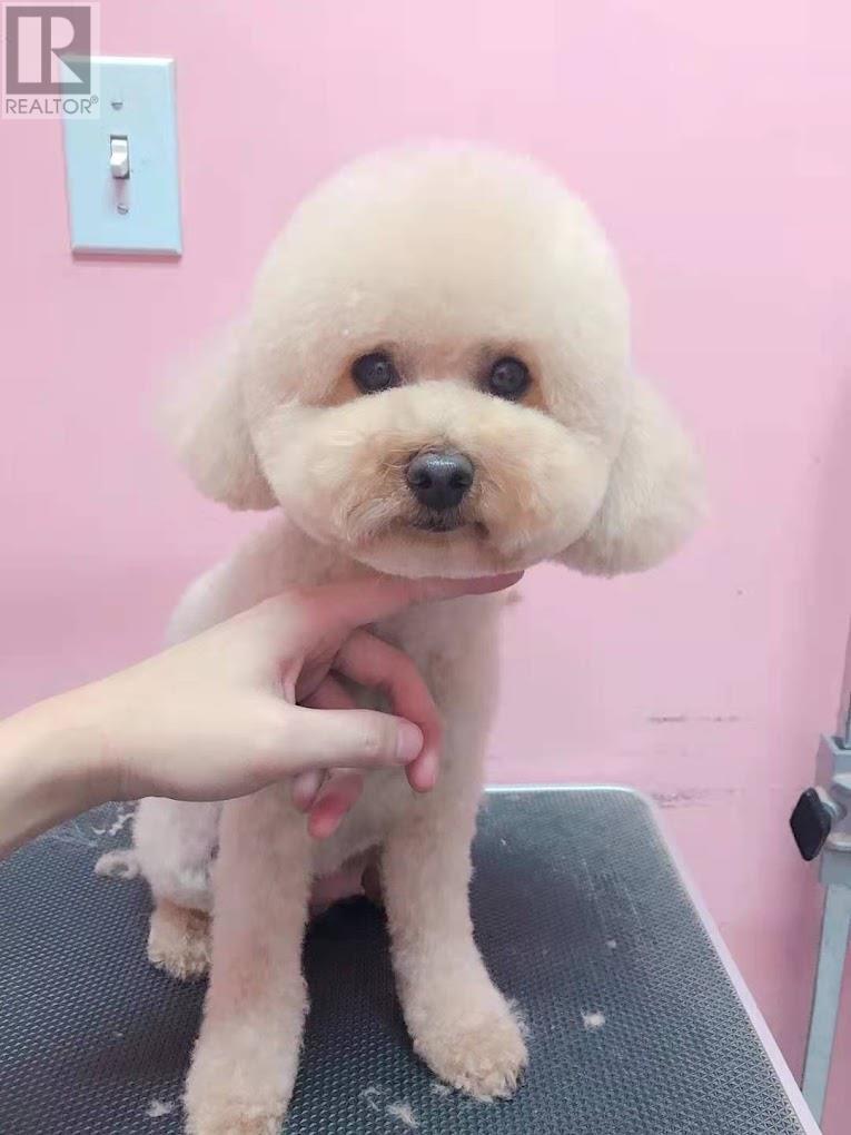 6287 KINGSWAY, Burnaby