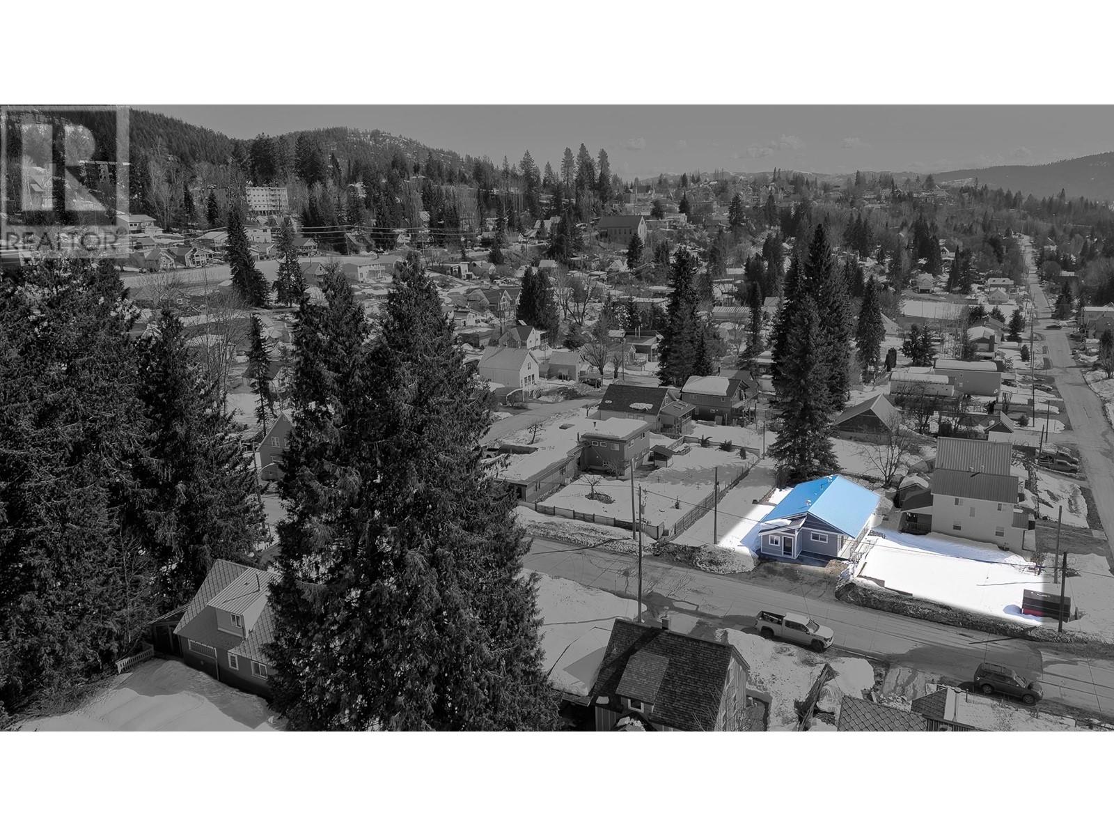 1740 NEVADA Street, Rossland