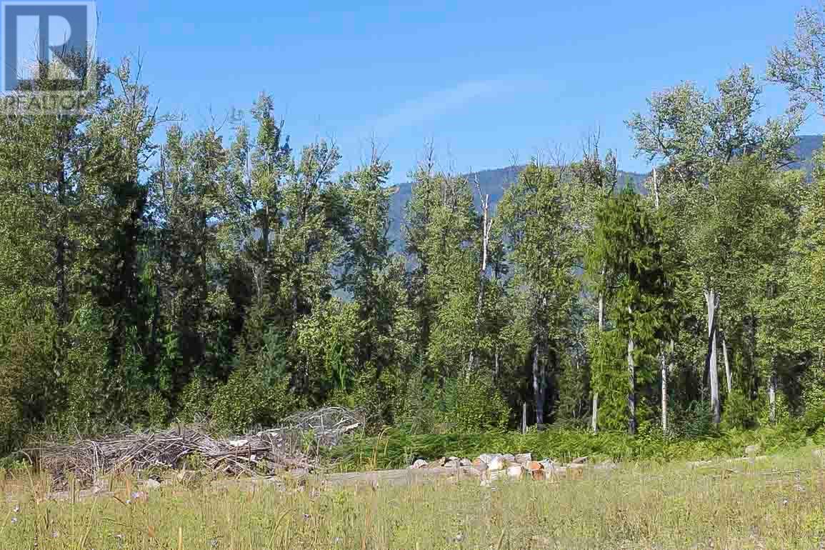  2524 Enderby Mabel Lake Road, Enderby