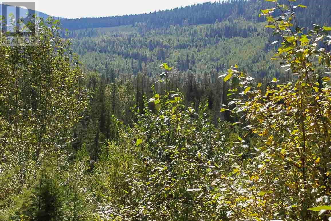  2524 Enderby Mabel Lake Road, Enderby