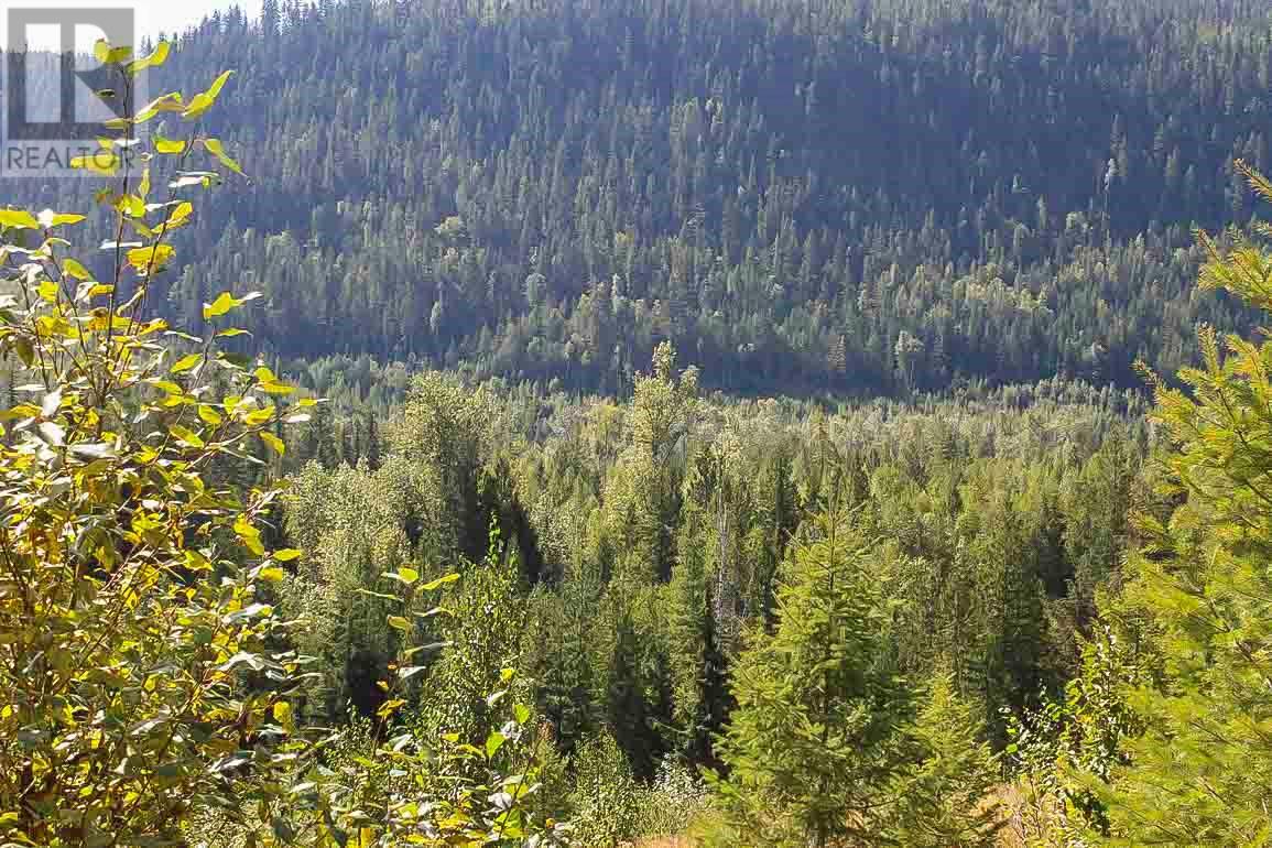  2524 Enderby Mabel Lake Road, Enderby