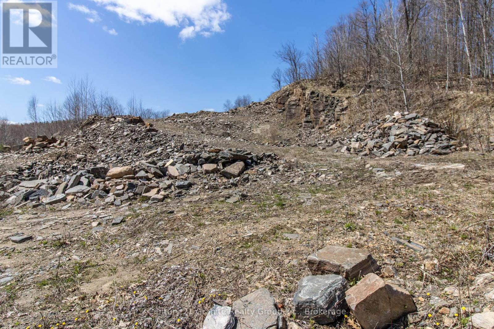 Photo 4 of 13495 Highway 35, Minden Hills ON