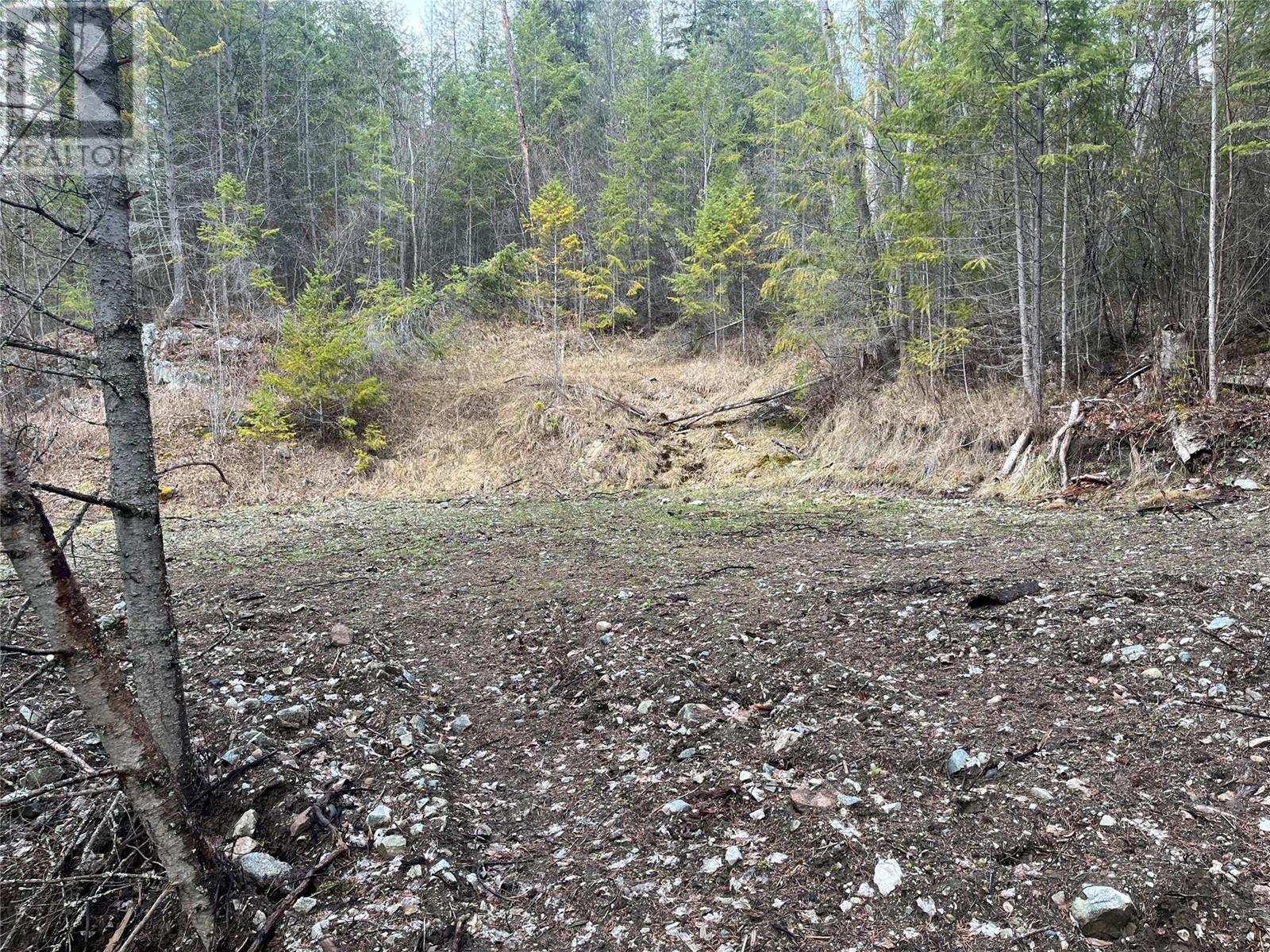 Lot 128 Broadwater Road, Castlegar