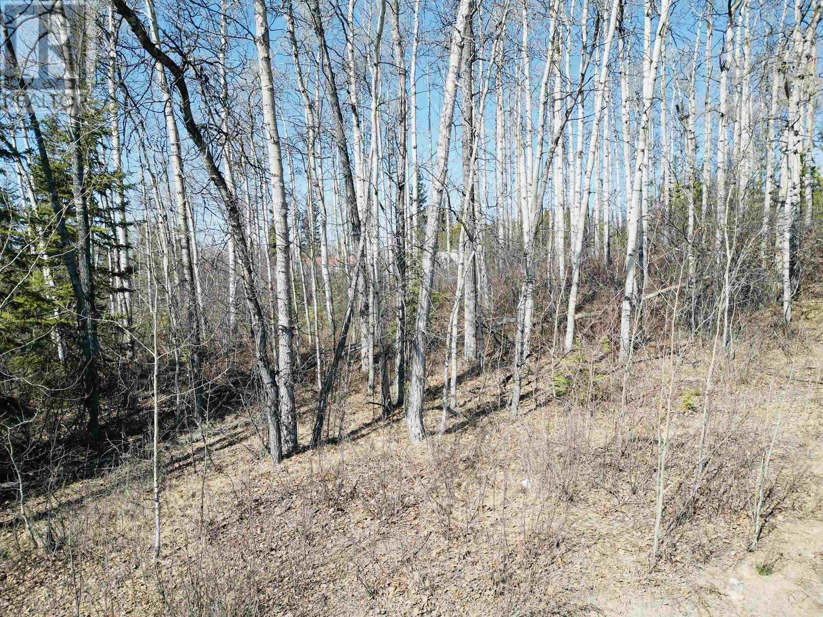 315 TELEGRAPH Trail, Burns Lake