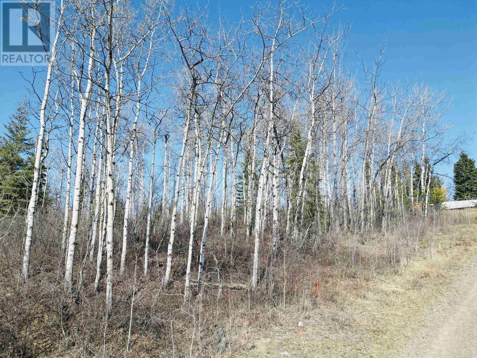 315 TELEGRAPH Trail, Burns Lake