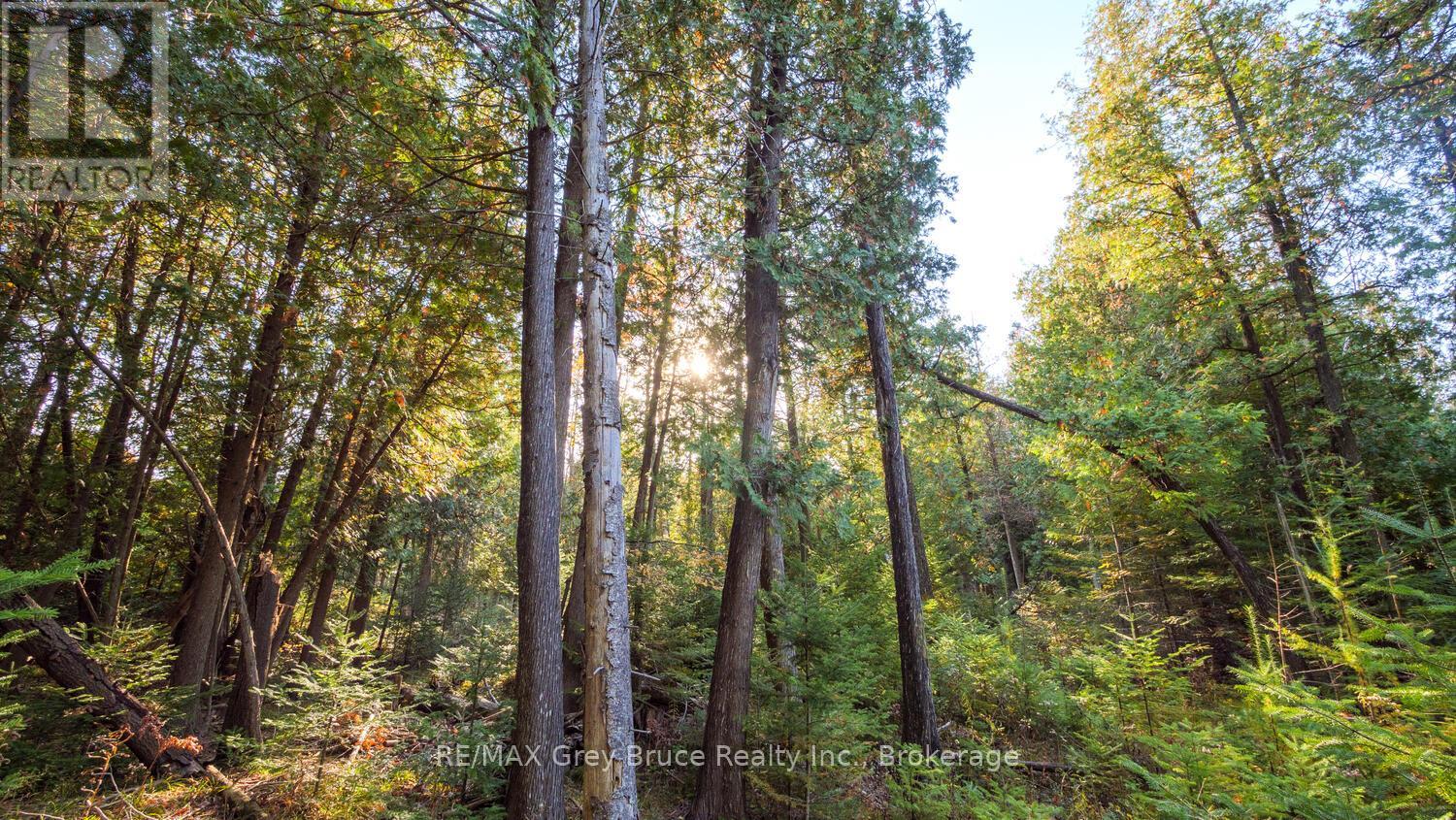 PART LOT 37 CON D SAUBLE FALLS PARKWAY - Photo 5 of 23, South Bruce Peninsula, Ontario