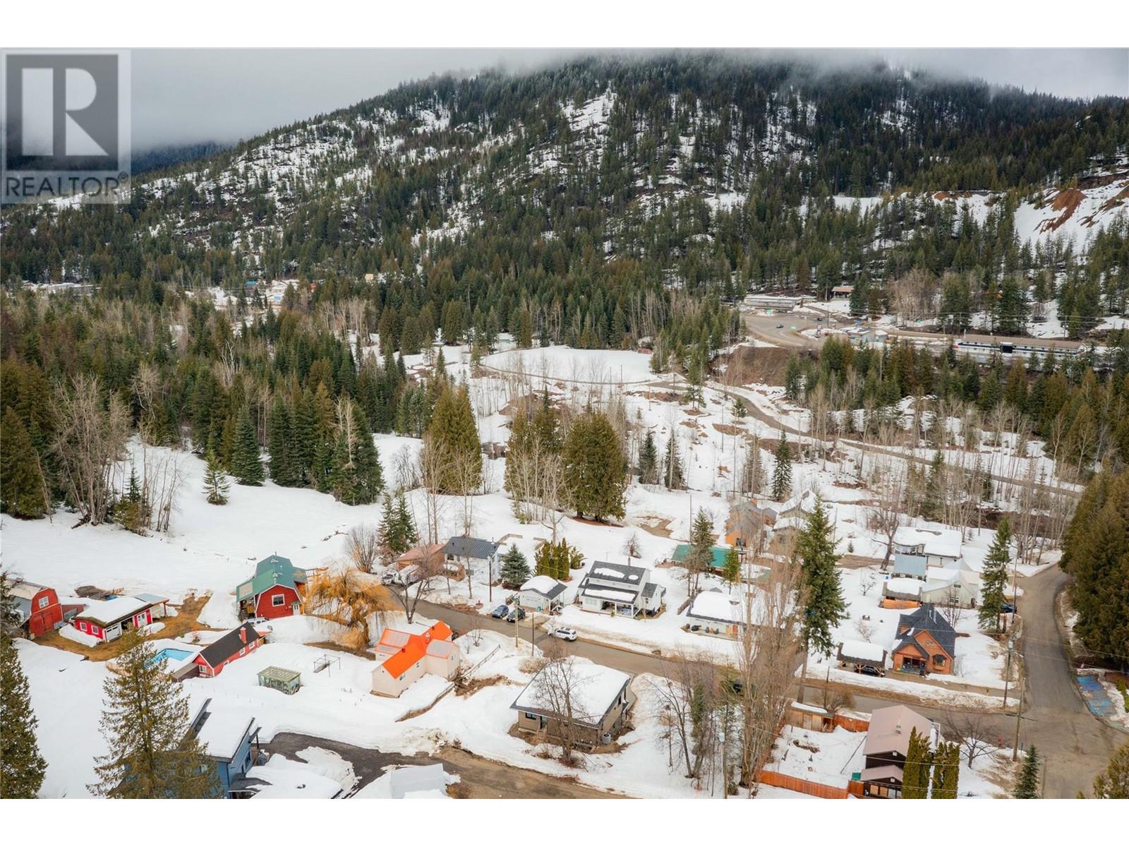 1139 BLACK BEAR Drive, Rossland