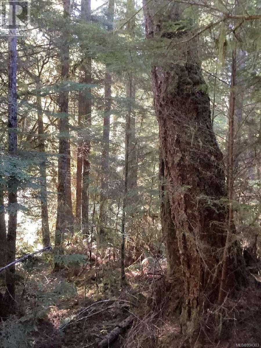 Photo 12 of Dl 704 Bessborough Bay, Kelsey Bay BC