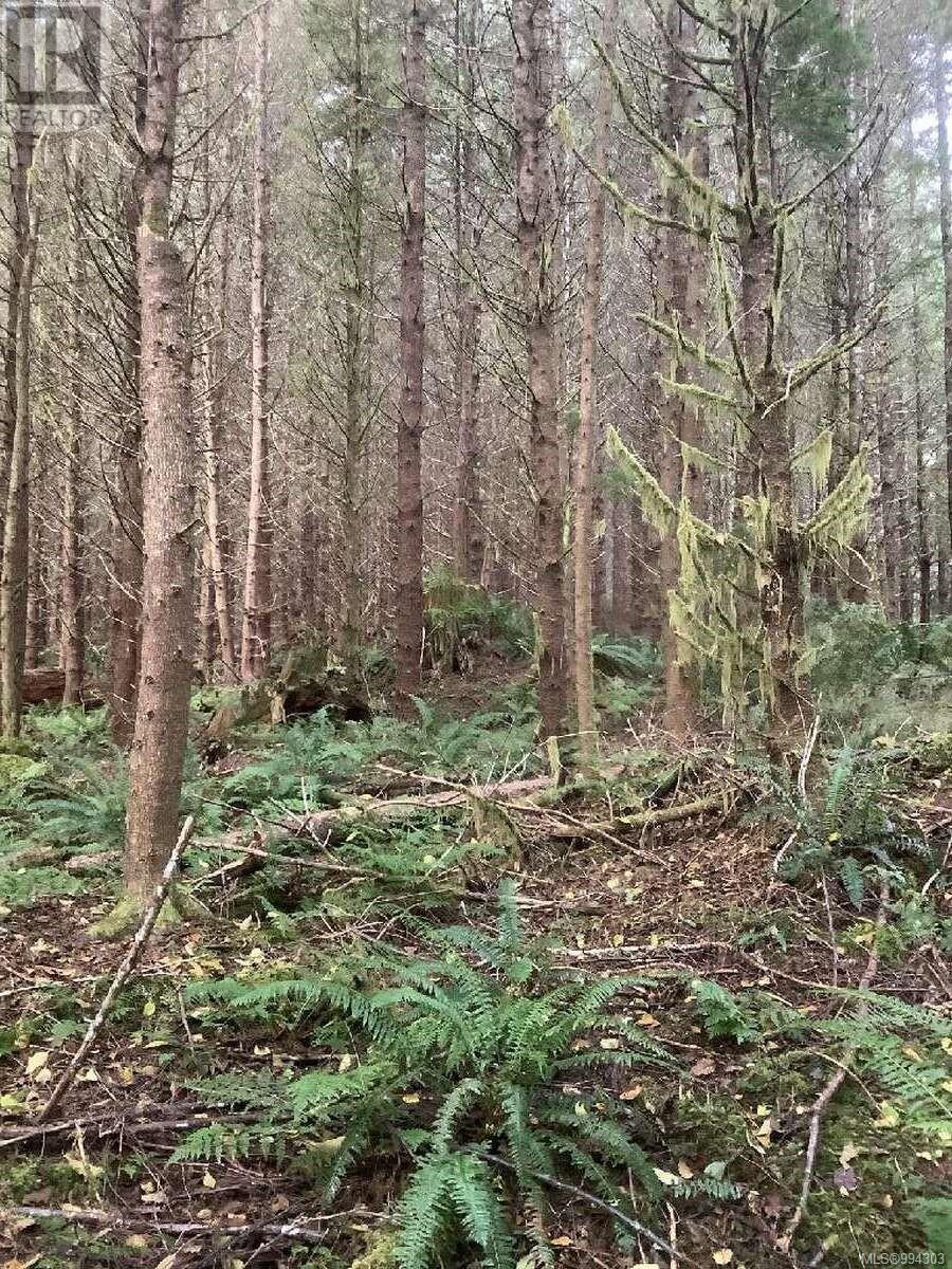 Photo 15 of Dl 704 Bessborough Bay, Kelsey Bay BC