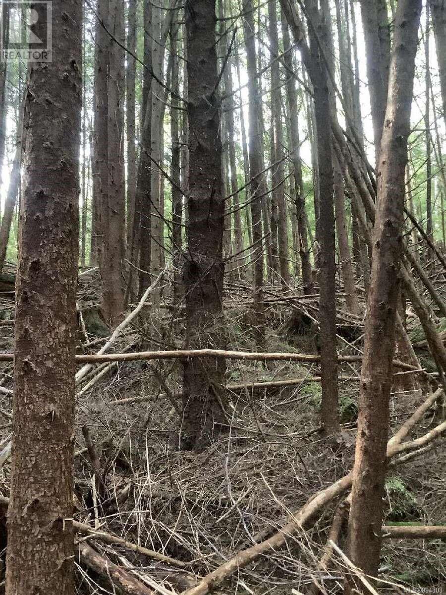 Photo 16 of Dl 704 Bessborough Bay, Kelsey Bay BC