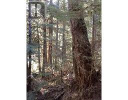 Dl 704 Bessborough Bay, Kelsey Bay, BC V0P0A5 Photo 12