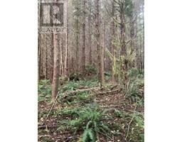 Dl 704 Bessborough Bay, Kelsey Bay, BC V0P0A5 Photo 15