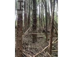 Dl 704 Bessborough Bay, Kelsey Bay, BC V0P0A5 Photo 16