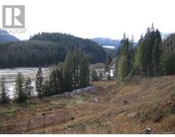 Dl 704 Bessborough Bay, Kelsey Bay, BC V0P0A5 Photo 9