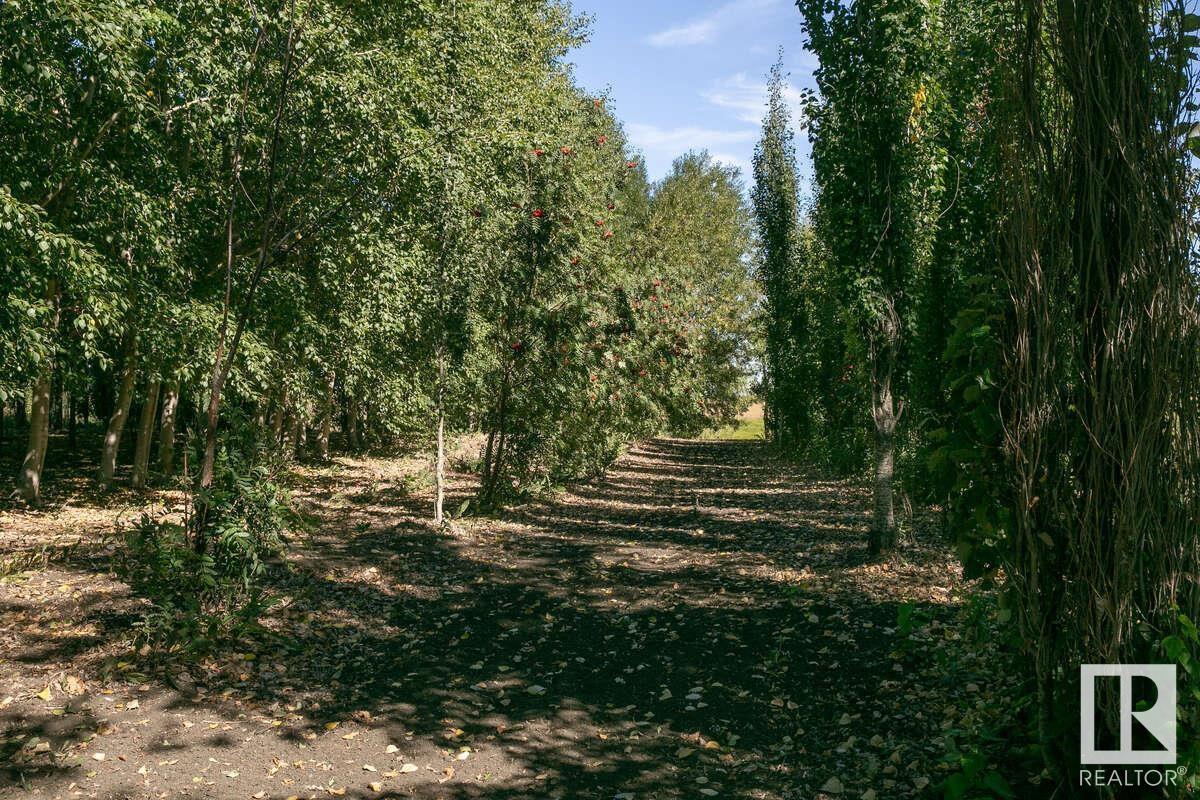 1730 ELLERSLIE RD SW - 30
