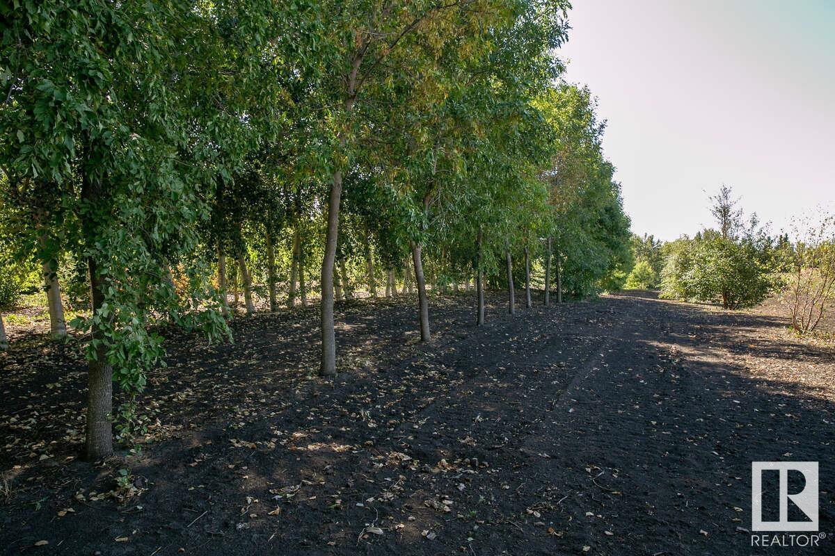 1730 ELLERSLIE RD SW - 32