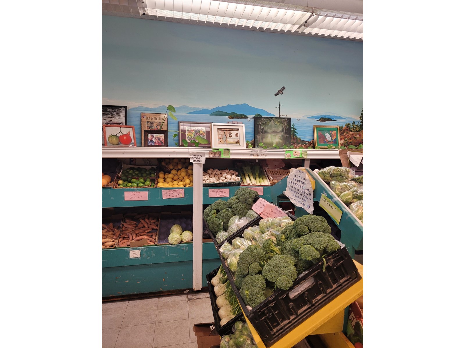 1257 JOHNSTON STREET, White Rock