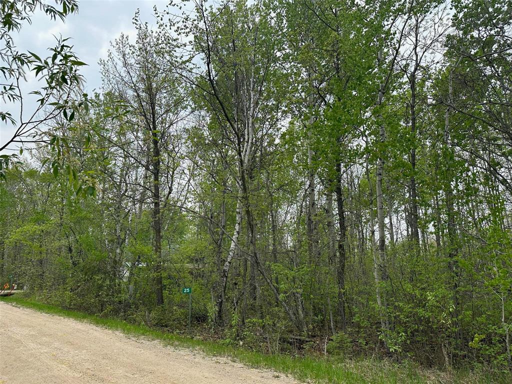 Photo 1 of 25 South Bay, Lakeshore Heights MB