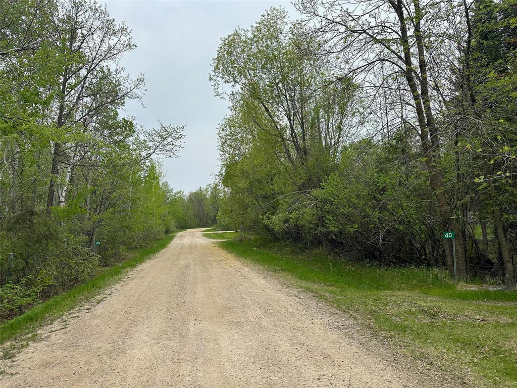 Photo 3 of 25 South Bay, Lakeshore Heights MB