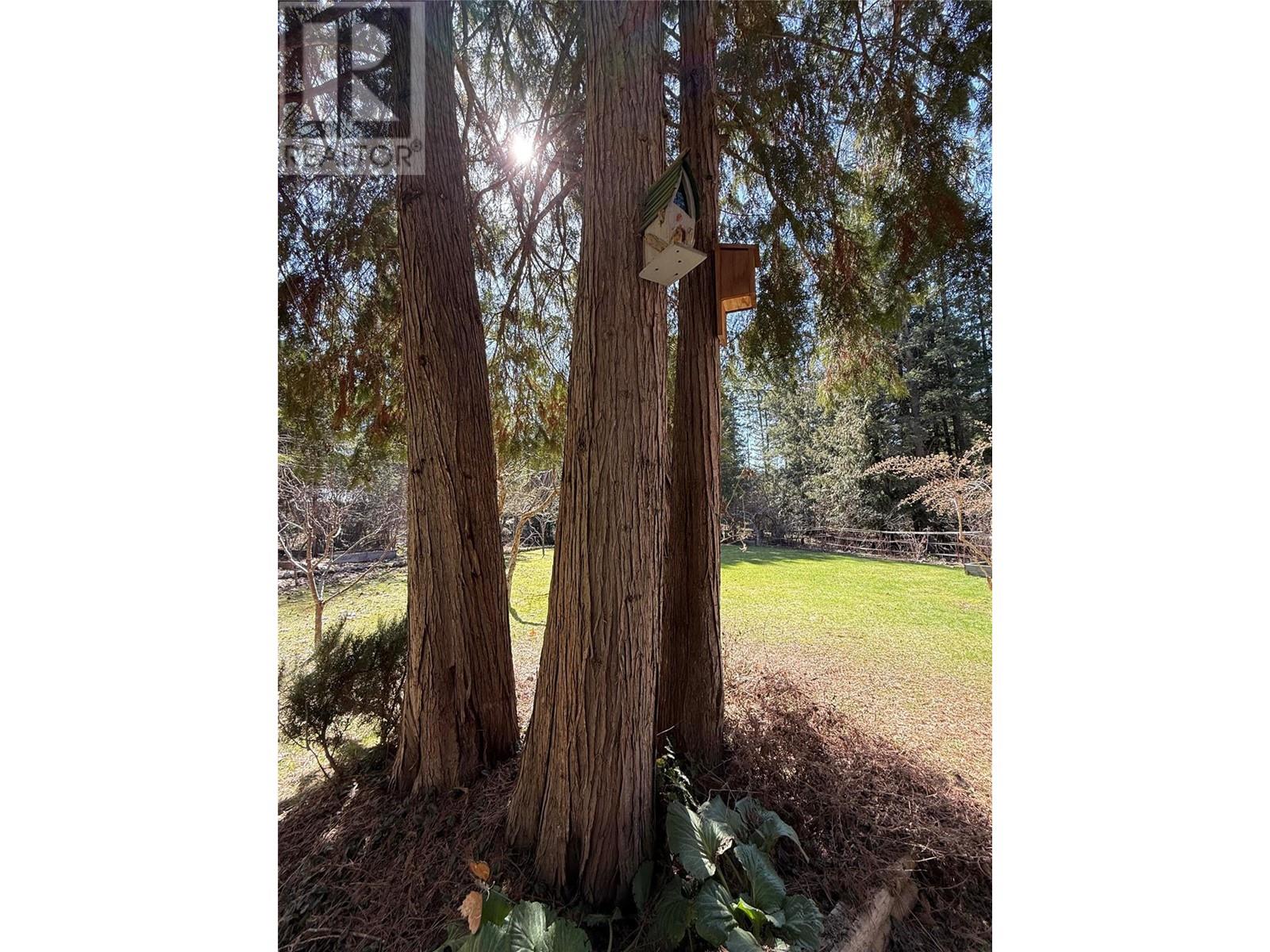 Photo 46 of 5640 Rays Road, Winlaw BC