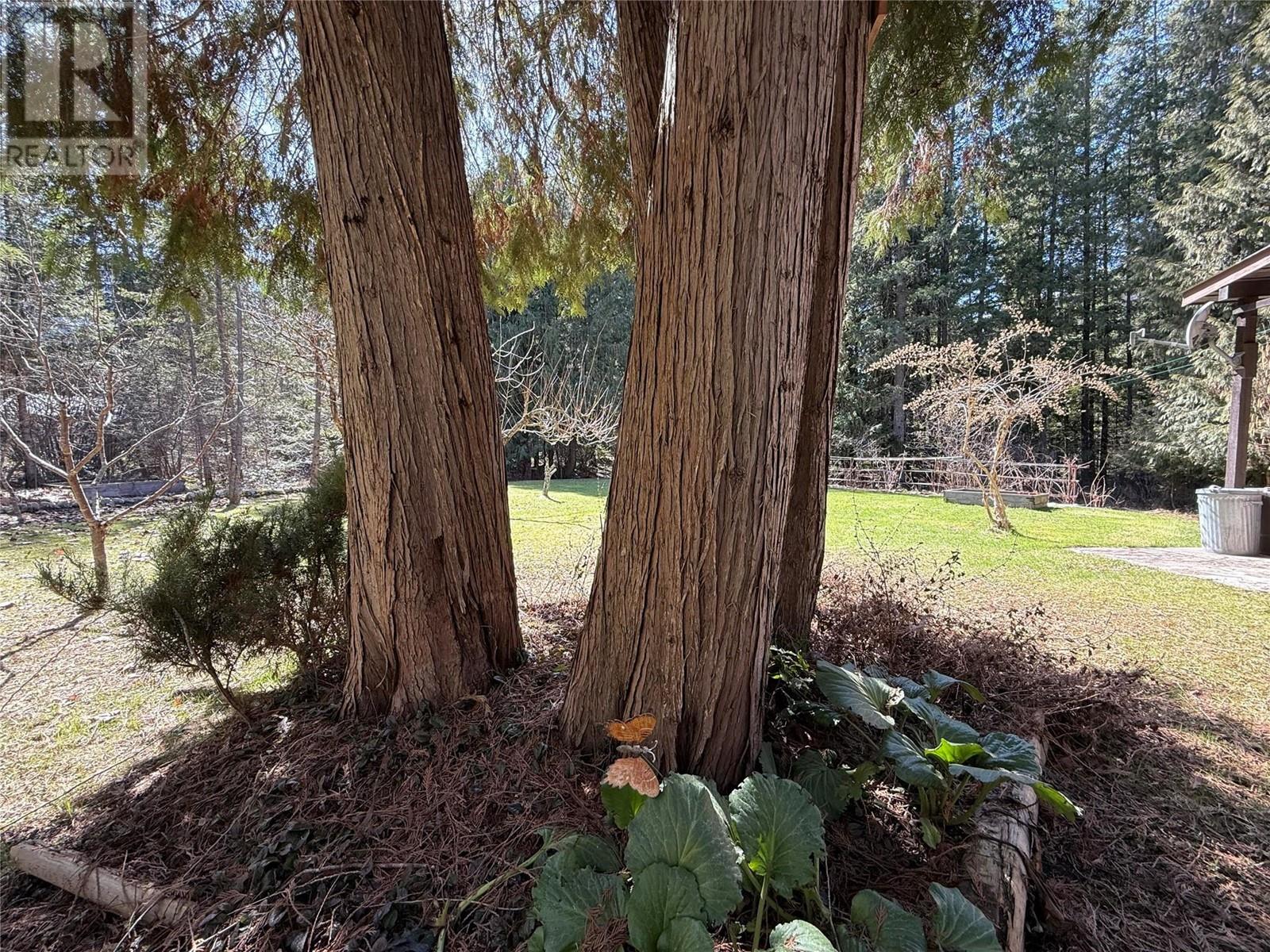 Photo 52 of 5640 Rays Road, Winlaw BC