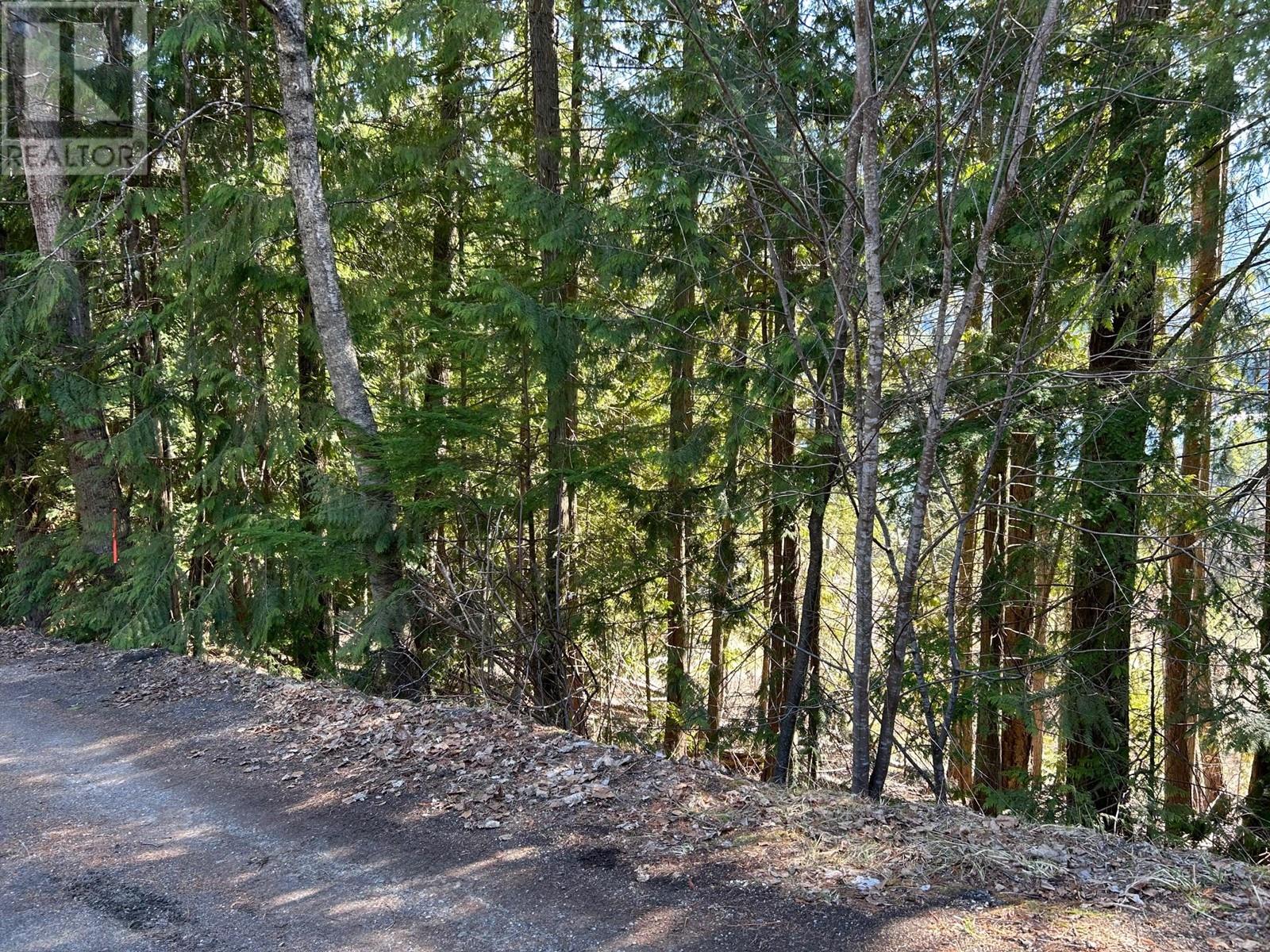 Photo 10 of 7416 3 A Highway, Balfour BC