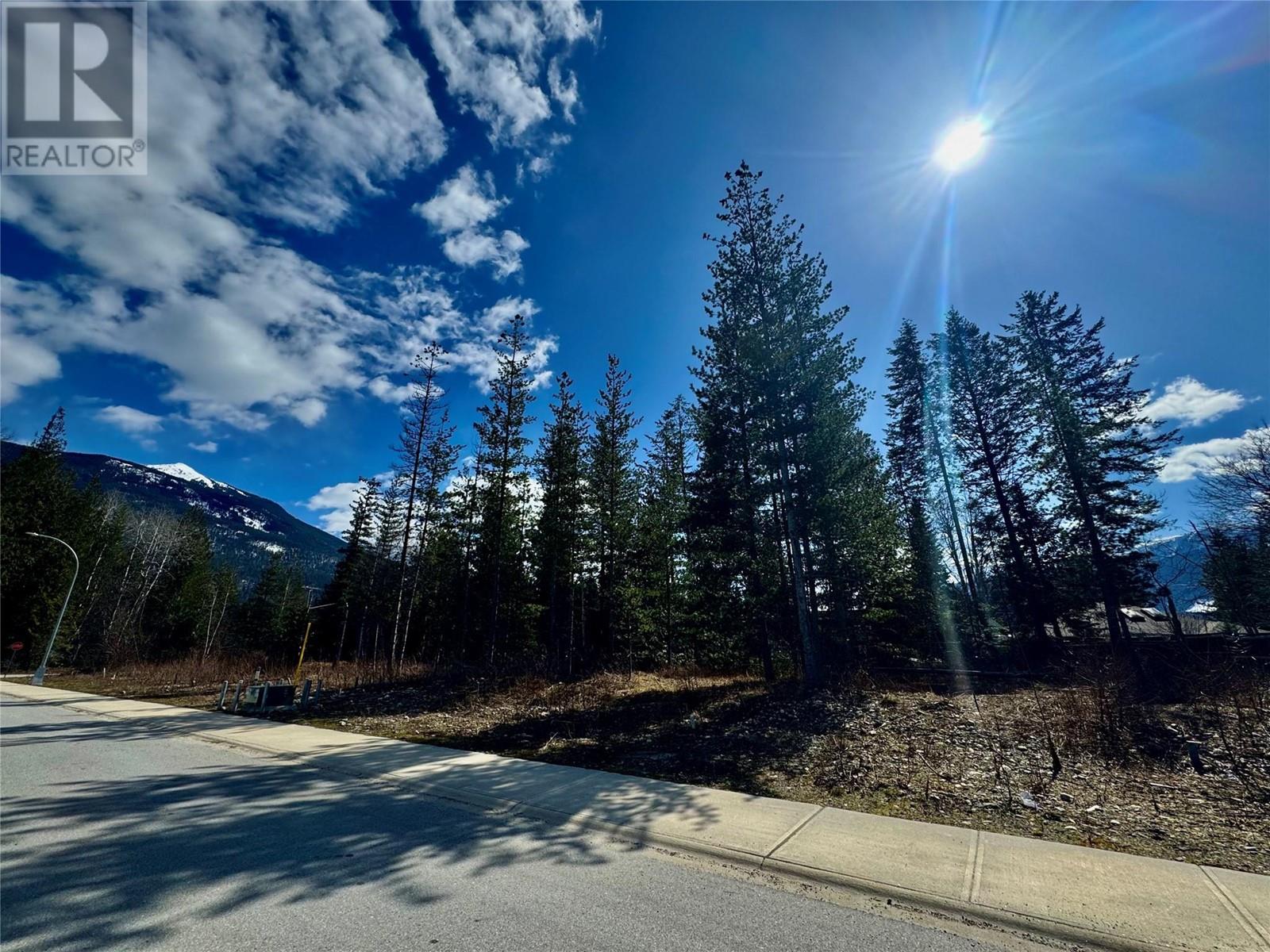 1039 Williams Gate Lane, Revelstoke