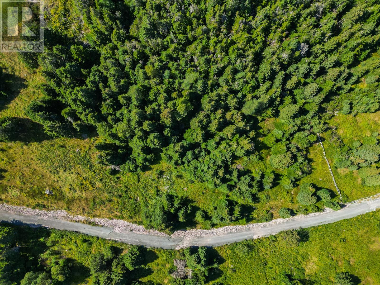 Photo 8 of 20 Kennedys Lane, Holyrood NL