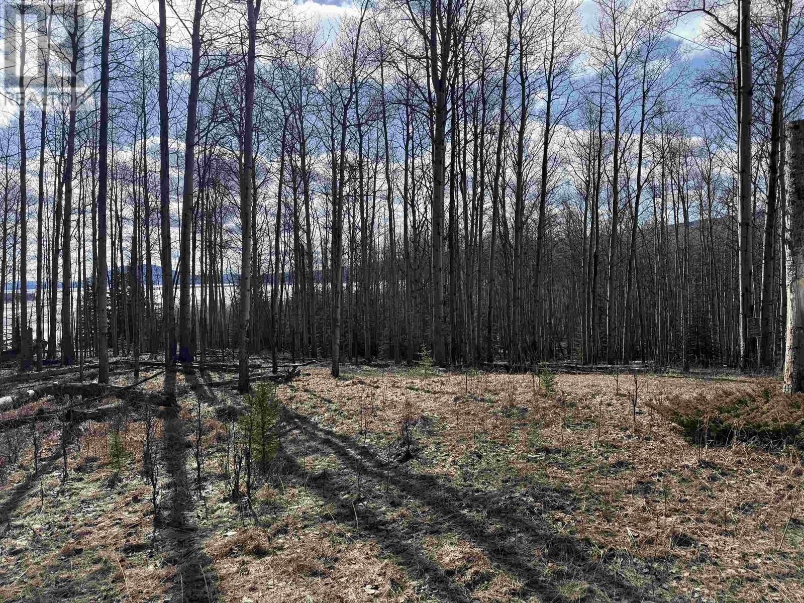 Photo 12 of Lot 17 Aspen Ridge Drive, Hudsons Hope BC