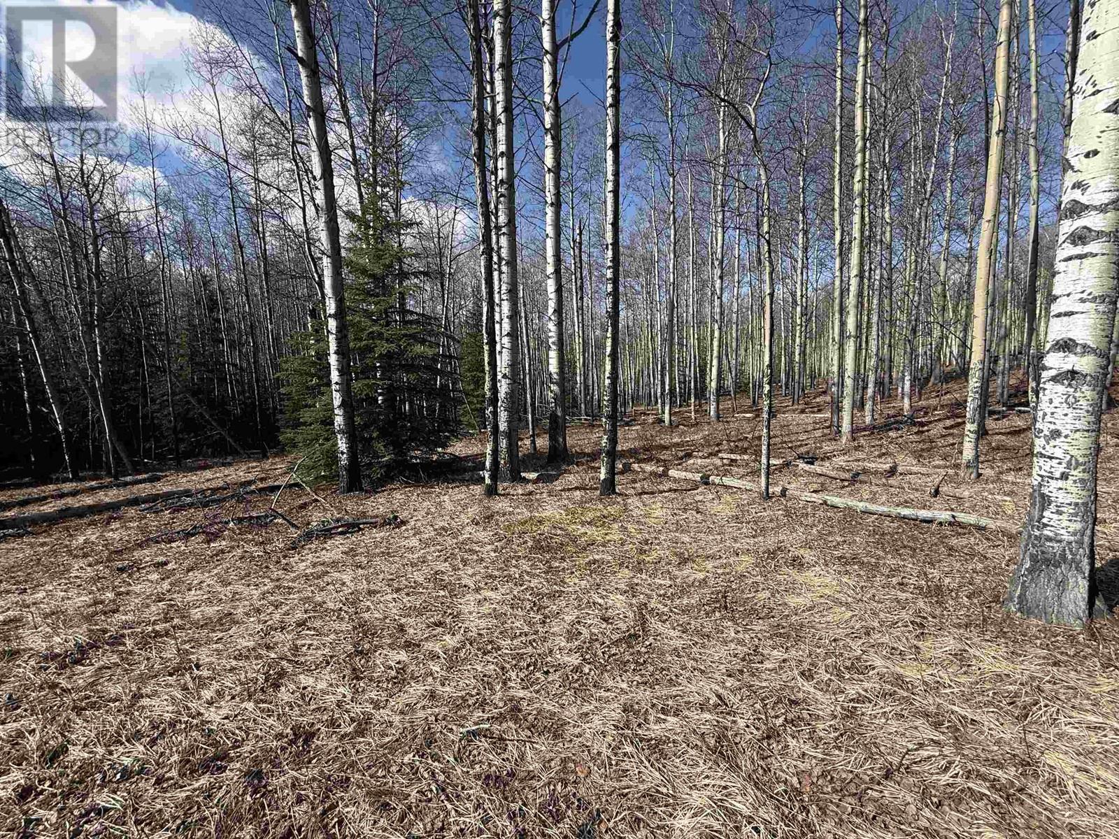 Photo 6 of Lot 17 Aspen Ridge Drive, Hudsons Hope BC