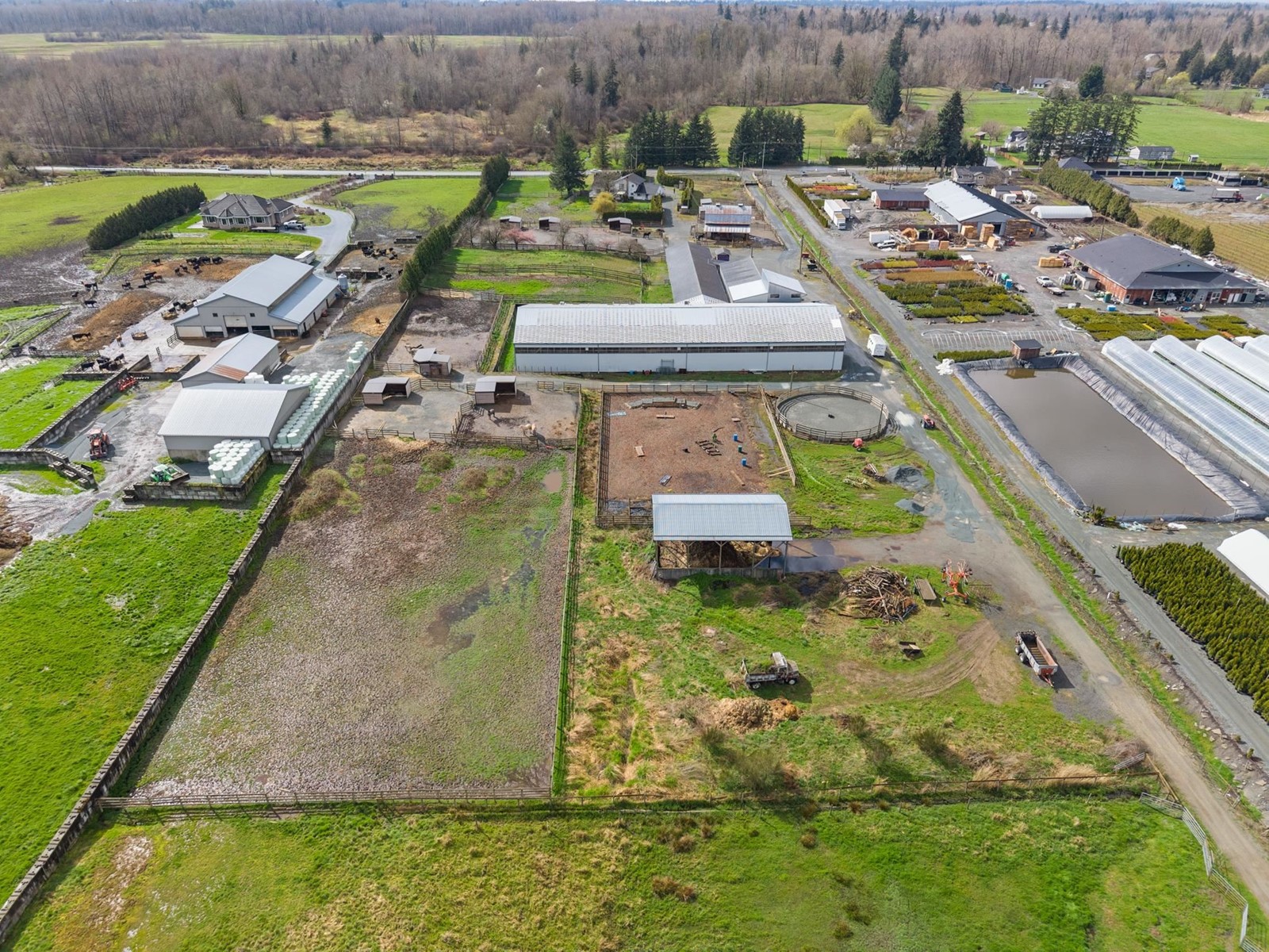Photo 9 of 4532 272 Street, Langley BC