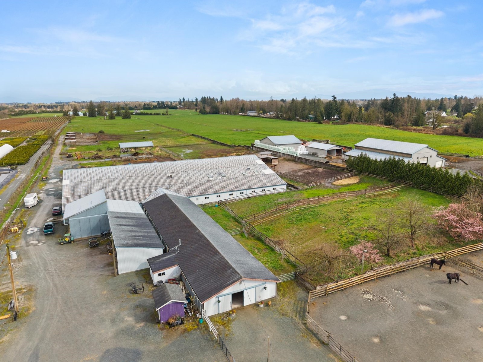 Photo 6 of 4532 272 Street, Langley BC
