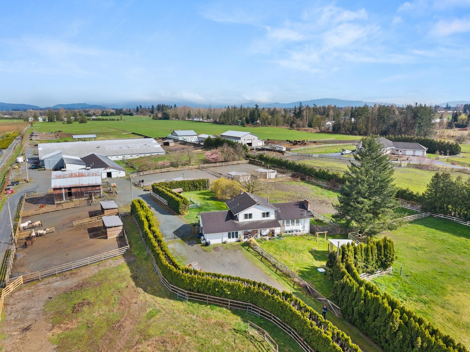 Photo 4 of 4532 272 Street, Langley BC