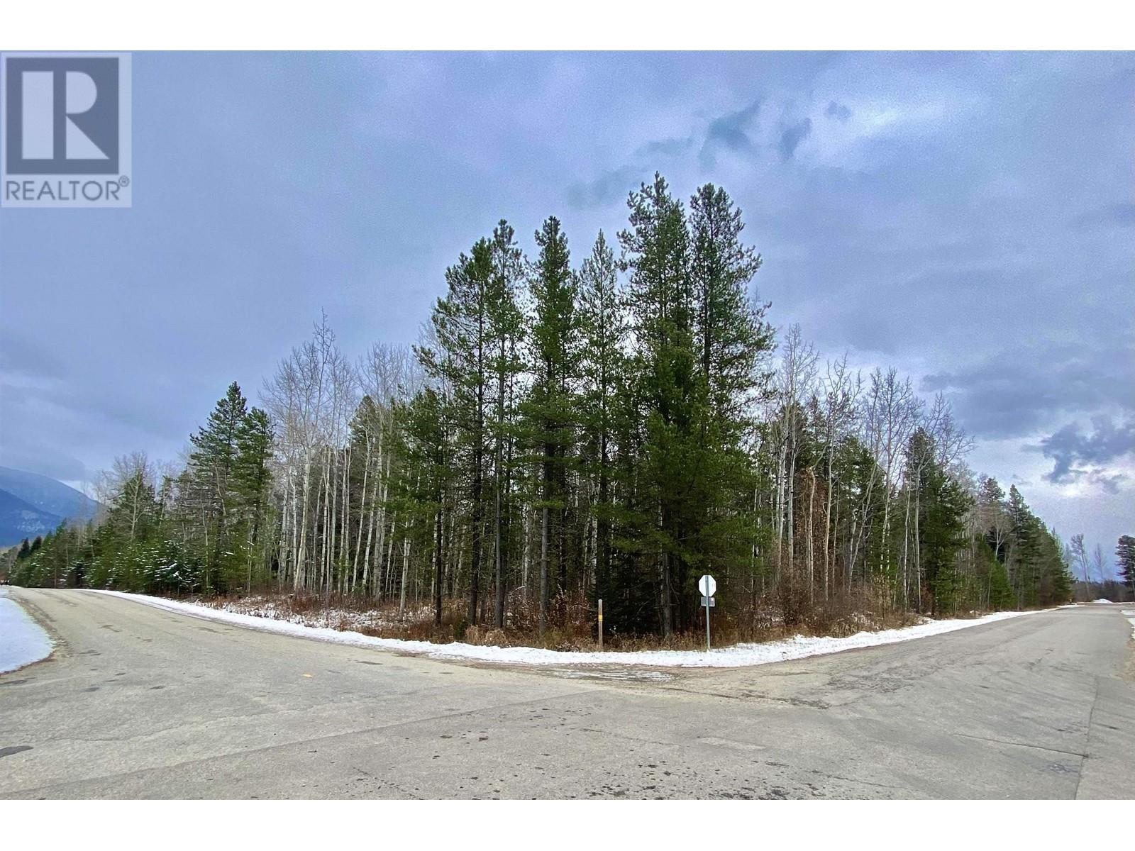 LOT 10 17TH AVENUE, Valemount