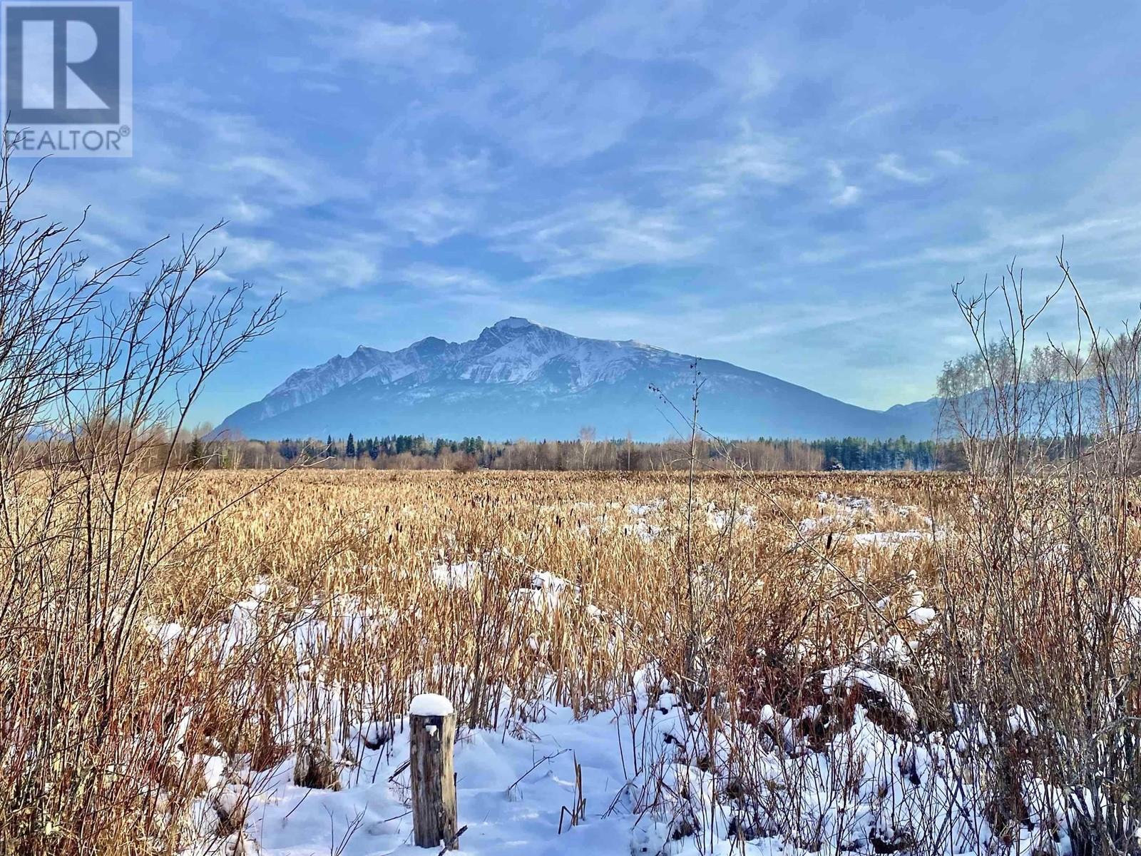 LOT 10 17TH AVENUE, Valemount