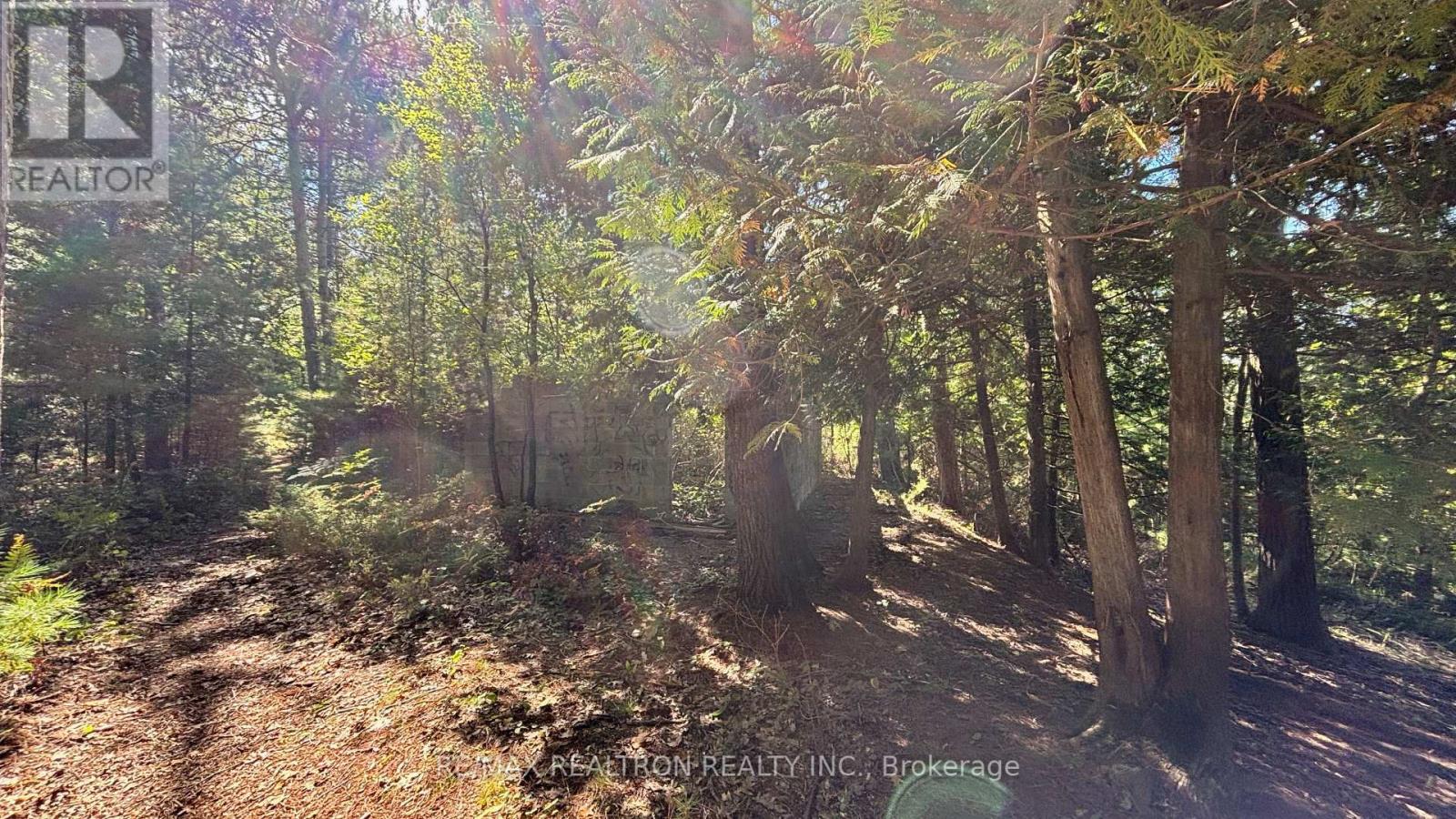 Photo 14 of 8 Poplar Street, Wasaga Beach ON