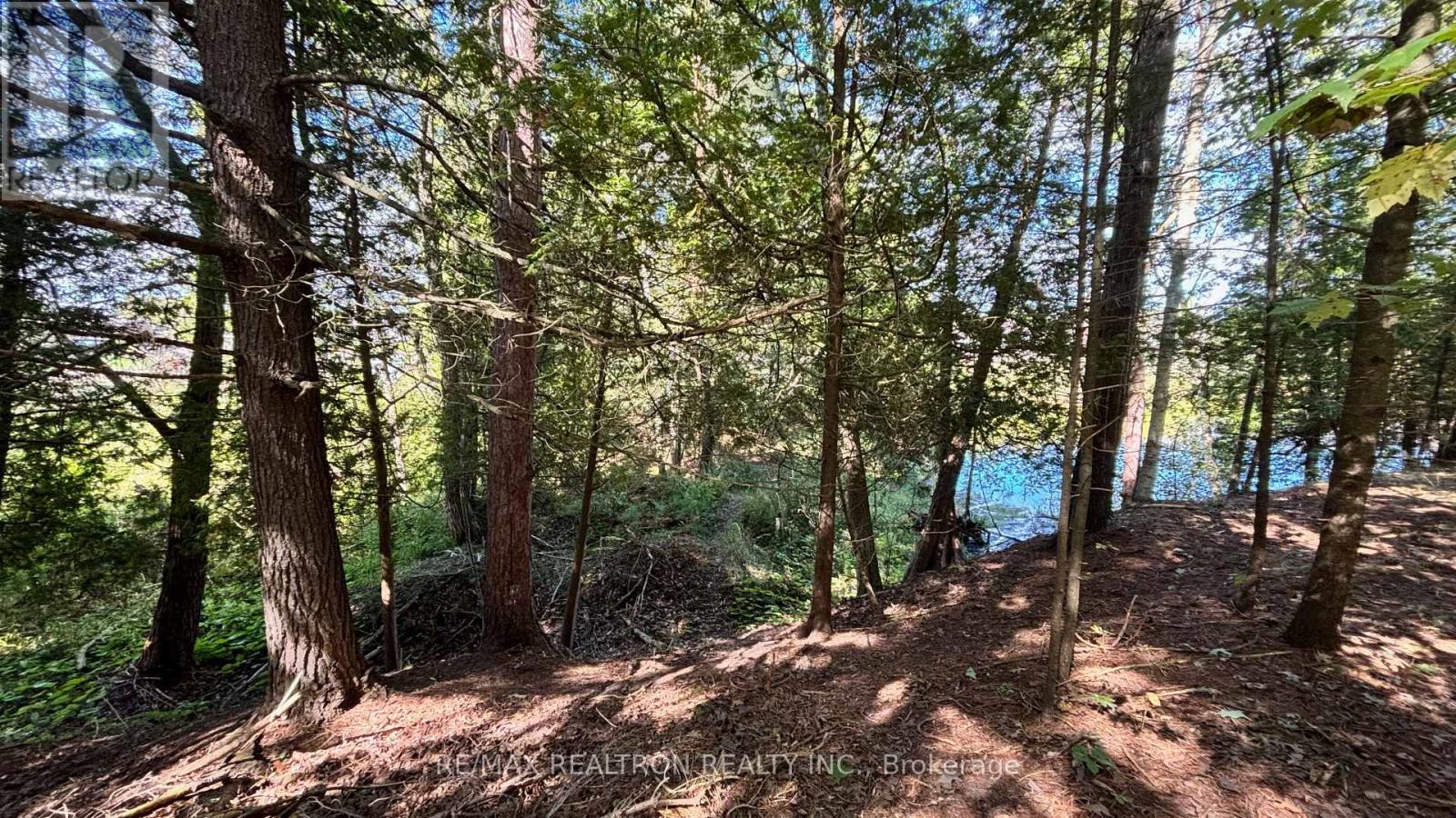 Photo 15 of 8 Poplar Street, Wasaga Beach ON