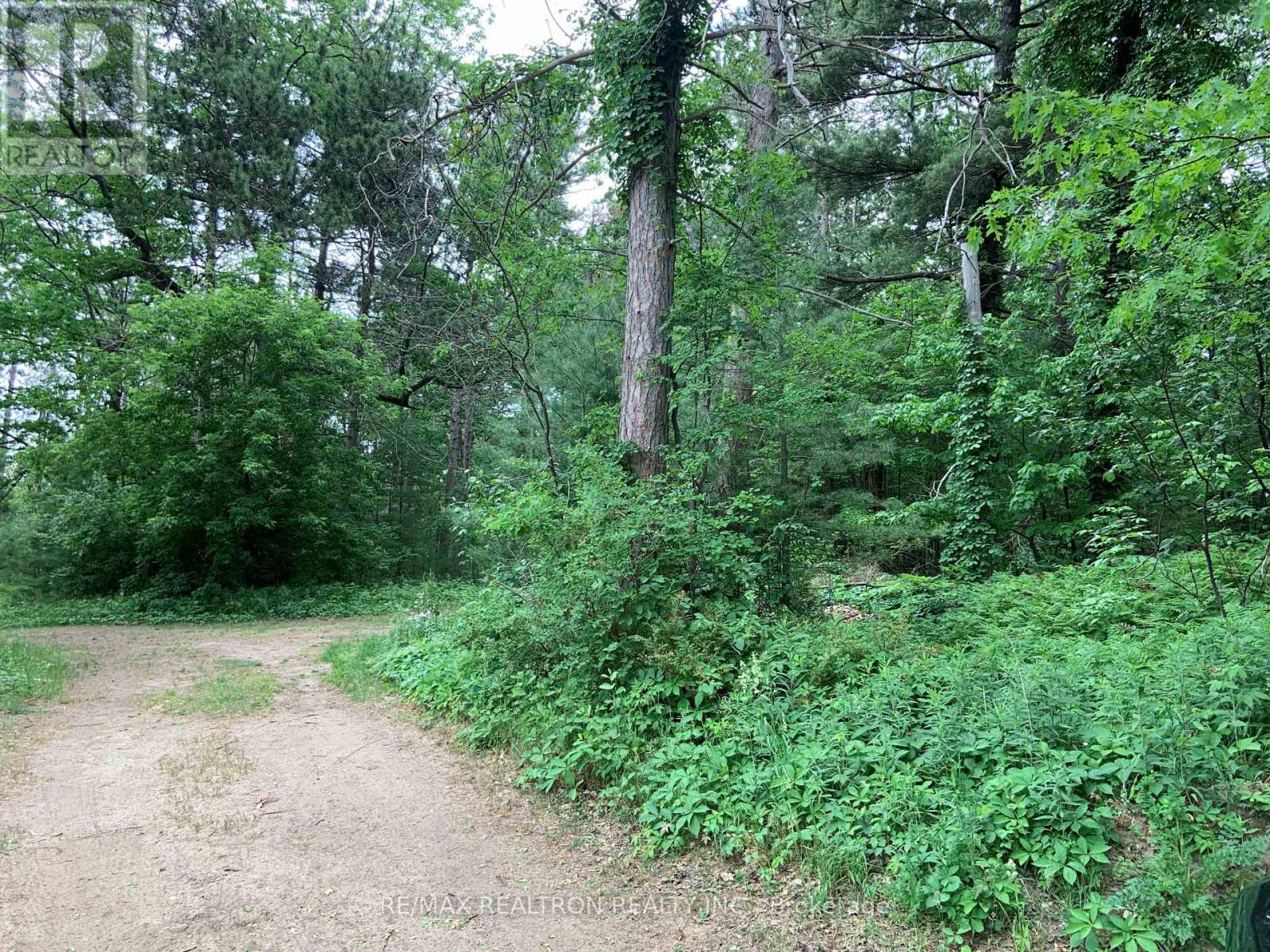 Photo 5 of 8 Poplar Street, Wasaga Beach ON