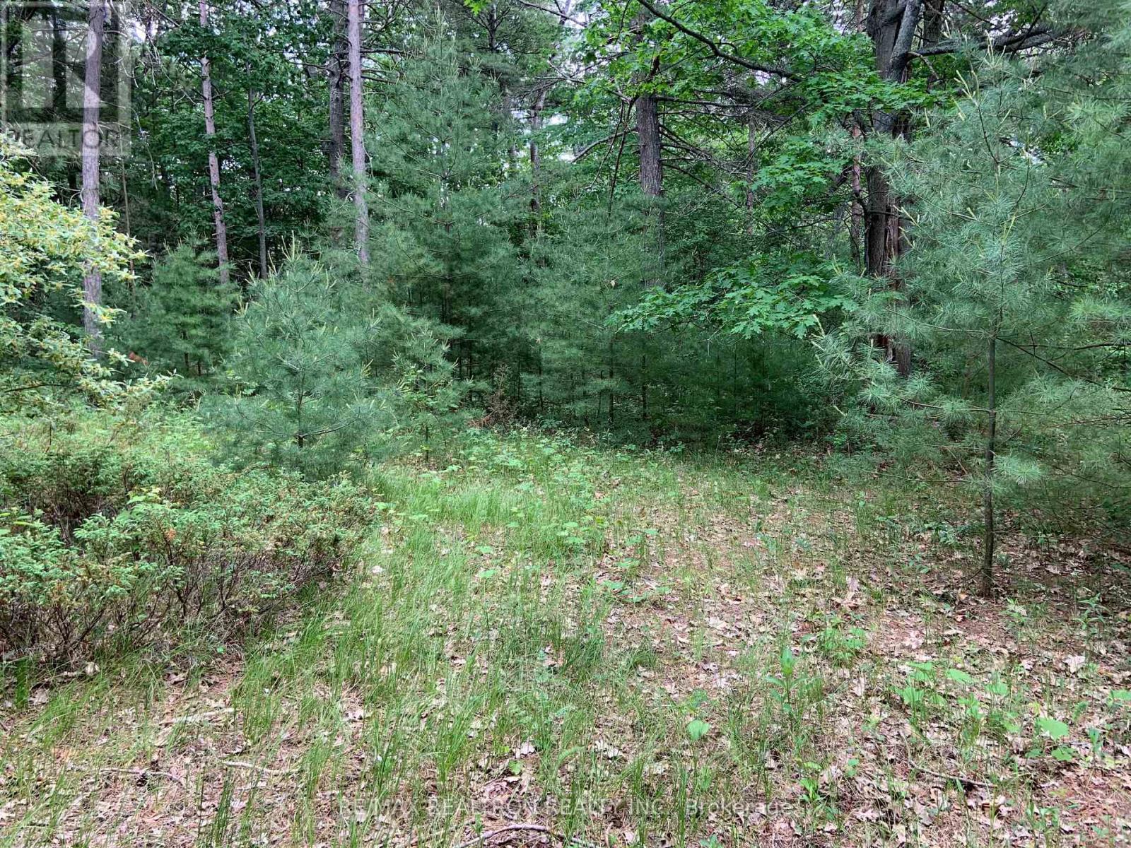 Photo 8 of 8 Poplar Street, Wasaga Beach ON